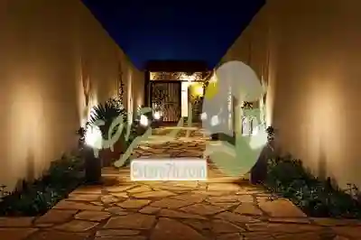 زهرة الياسمين